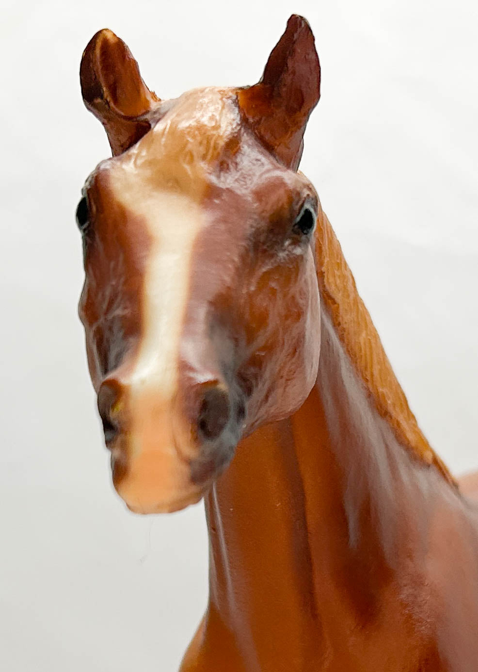 Stock Horse Stallion ~ Skipster's Chief