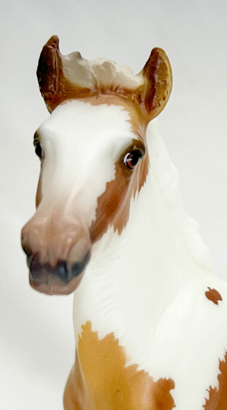 Gypsy Vanner Mare & Foal ~ Rhiannon & Rhemi - 2023 Premier Club