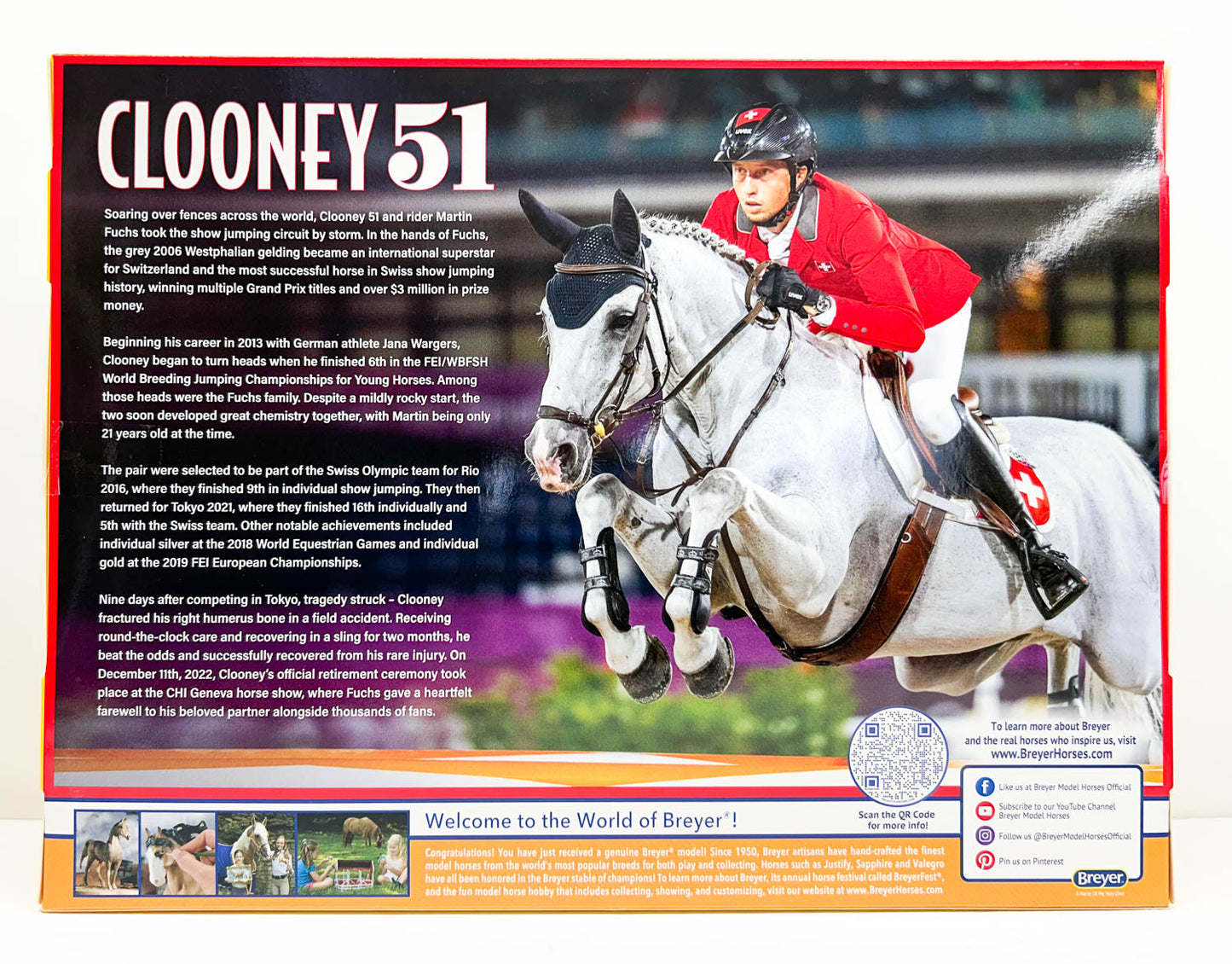 Jumping Warmblood ~ Clooney 51