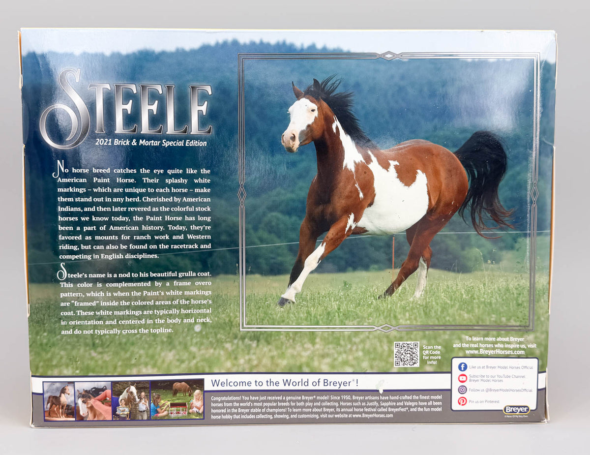 Gaming Stock Horse ~ Steele - 2021 Brick & Mortar Model
