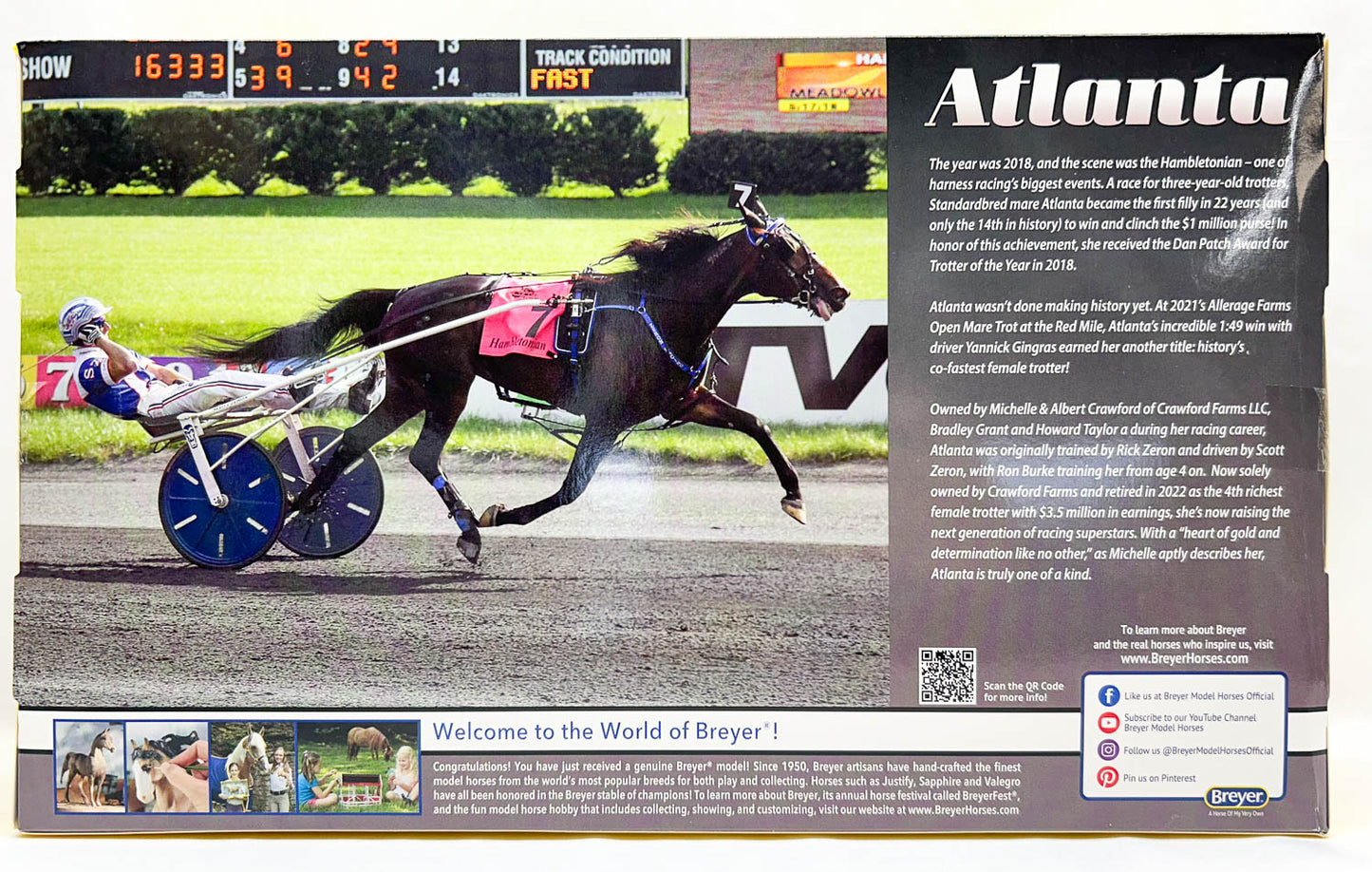Standardbred Trotting Horse ~ Atlanta
