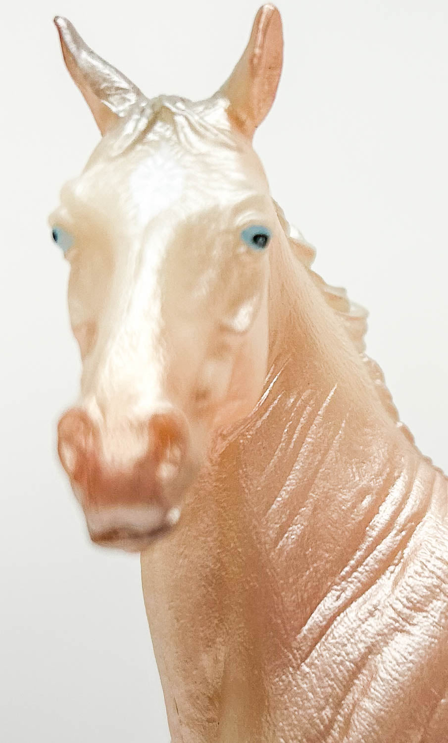 Akhal Teke Mare, Perlino (International Release)