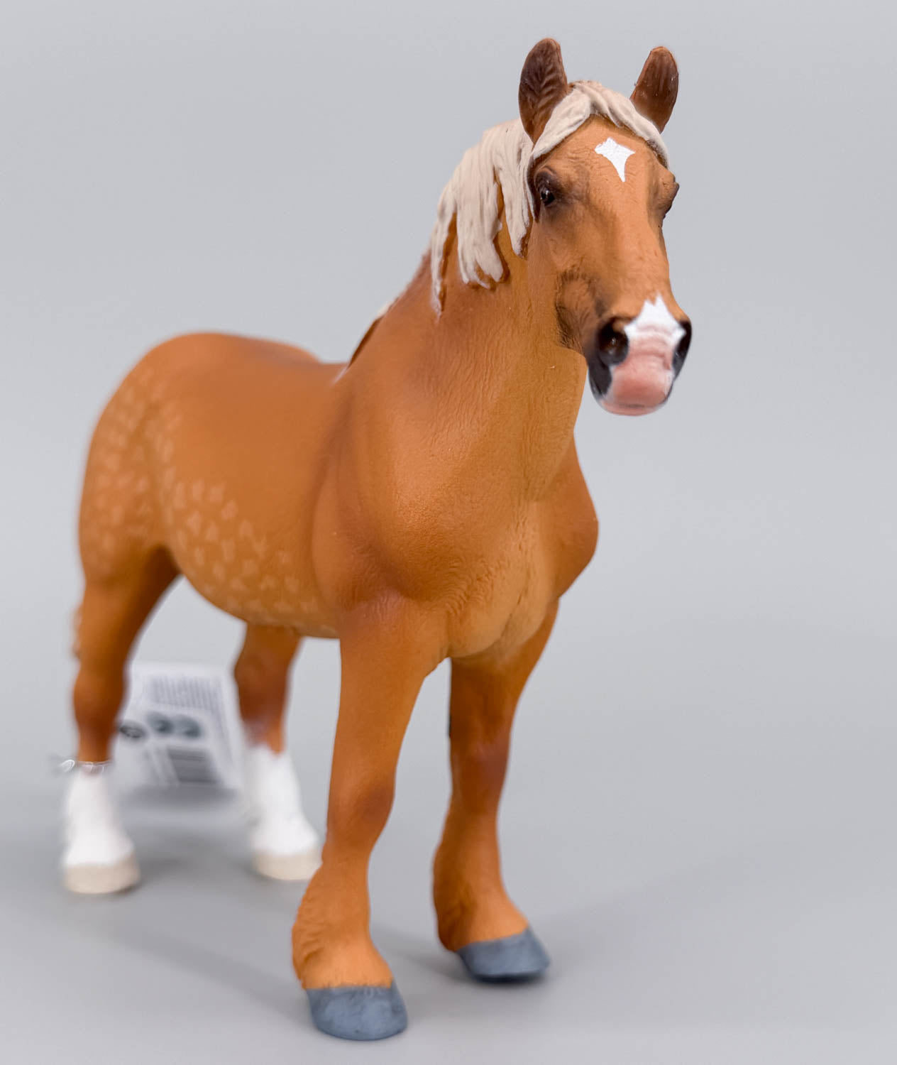 Belgian Warmblood Mare, Dappled Chestnut (international release)
