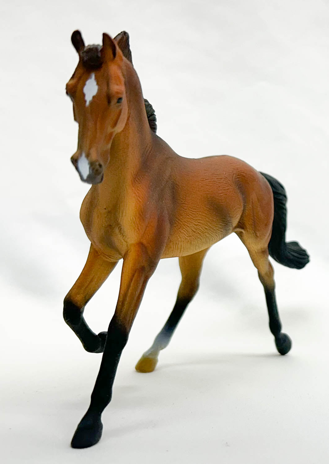 Thoroughbred Mare, Bay