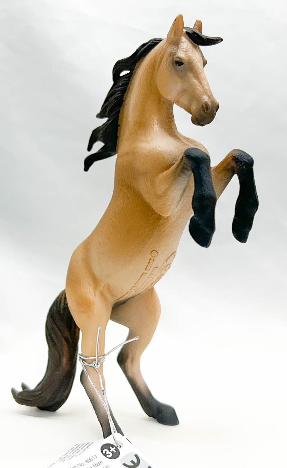 Warlander Mare, Buckskin