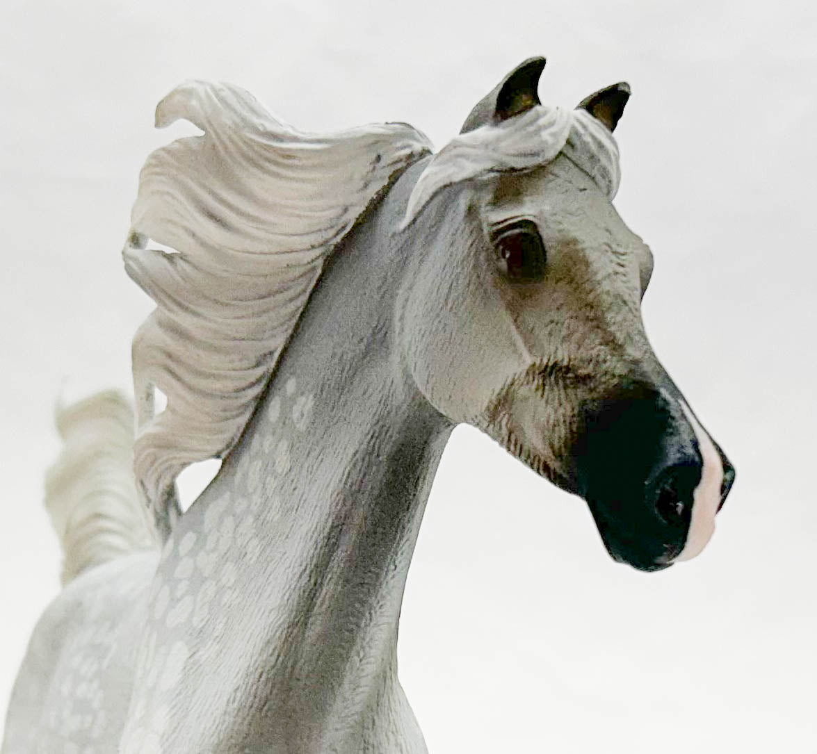 Arabian Stallion, Dapple Grey - Deluxe 1:12 Scale Model (International Release)
