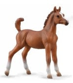 Arabian Foal, Chestnut
