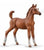 Arabian Foal, Chestnut - ADVANCE SALE