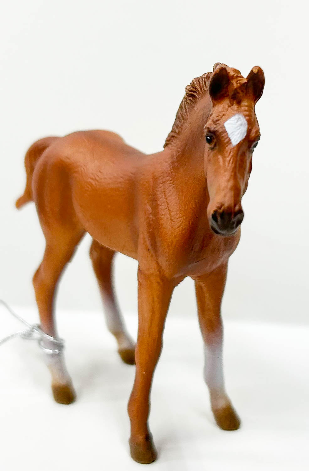 Thoroughbred Foal, Chestnut