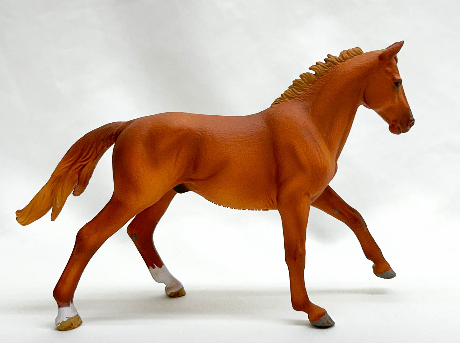 Phar Lap - Thoroughbred Stallion Phar Lap - Thoroughbred Stallion
