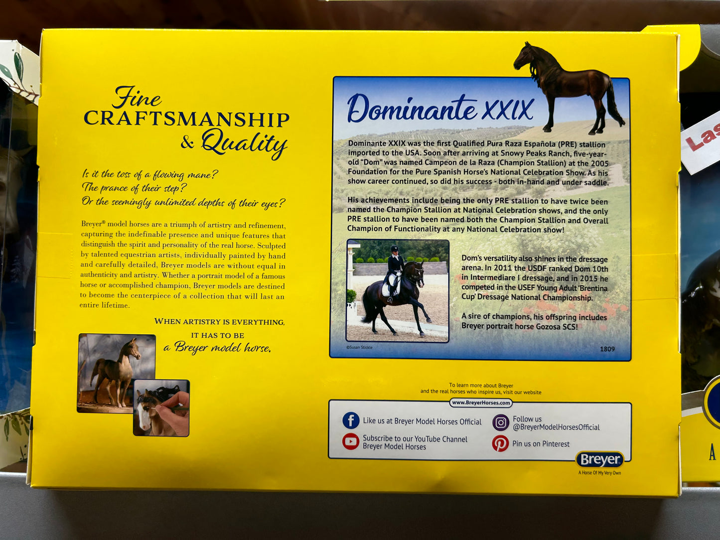 Spanish Stallion ~ Dominante XXIX