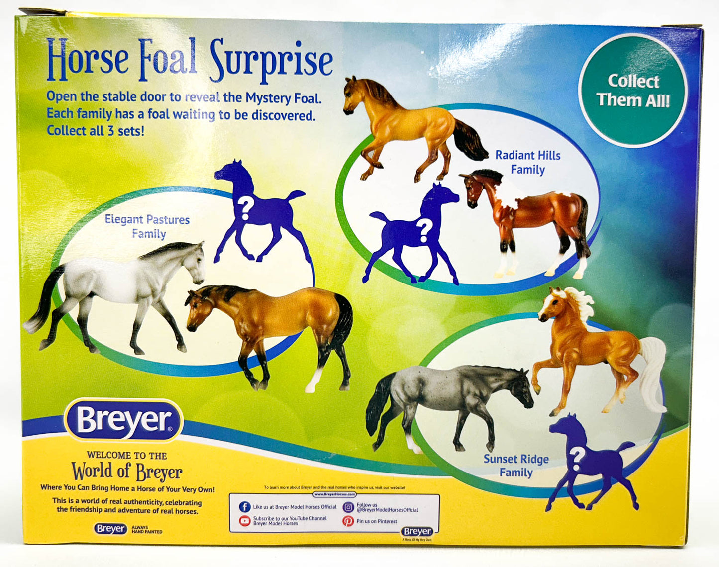 Horse Foal Surprise: Irish Draught, Indian Pony & ? Foal