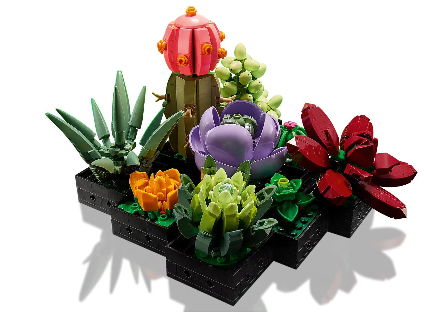 home botanicals succulents LEGO 10309