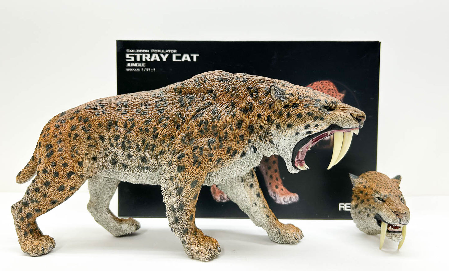 Smilodon ~ Stray Cat, Jungle Version - REBOR Museum Class Replicas