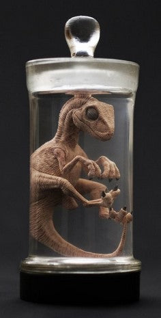 Velociraptor Fetus Wet Specimen - REBOR Oddities