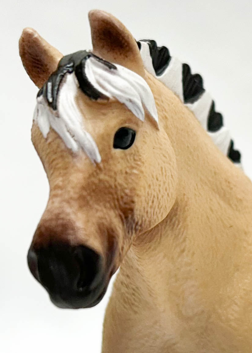 Norwegian Fjord Mare