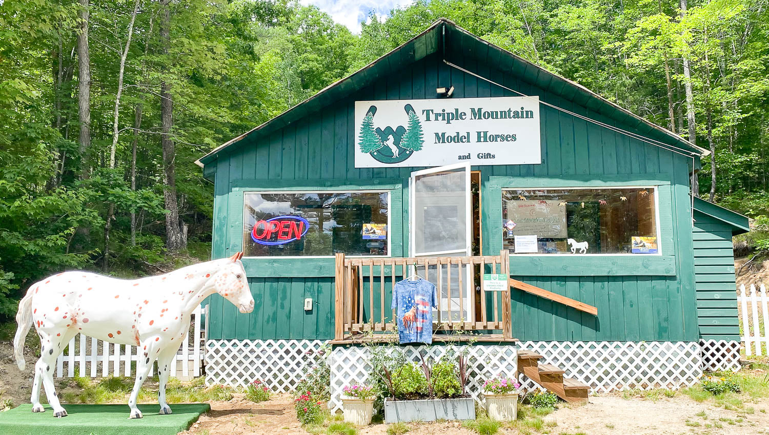 Triple Mountain store with Open sign lit and our mascot Treasure ready to welcome you
