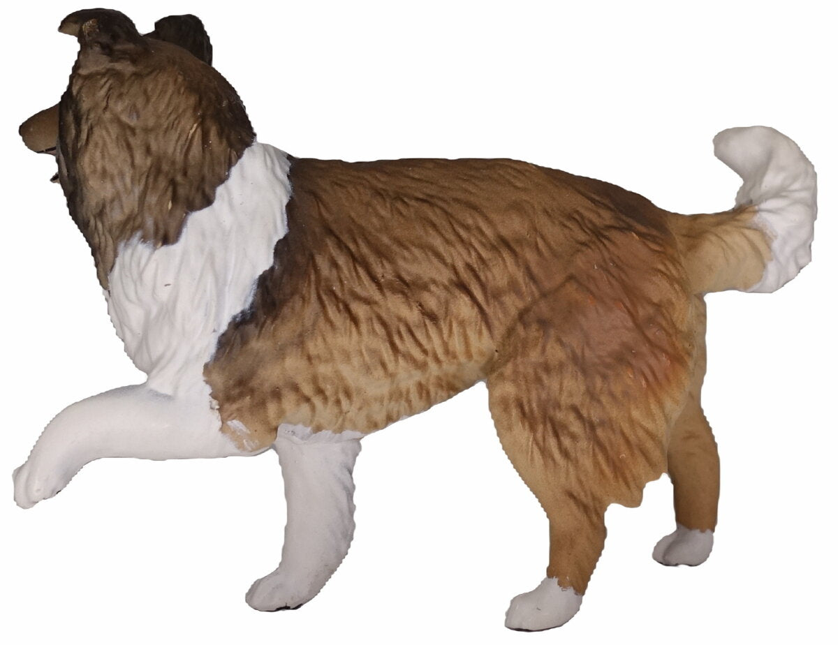 Australian Shepherd (or cross) ~ Nana - Sable