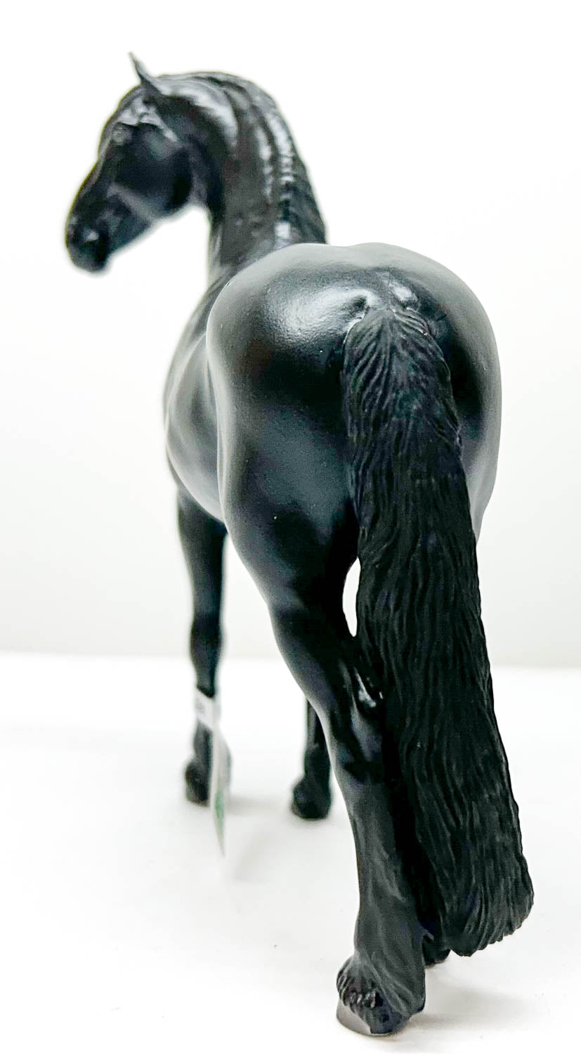 Friesian ~ Niklas, Black