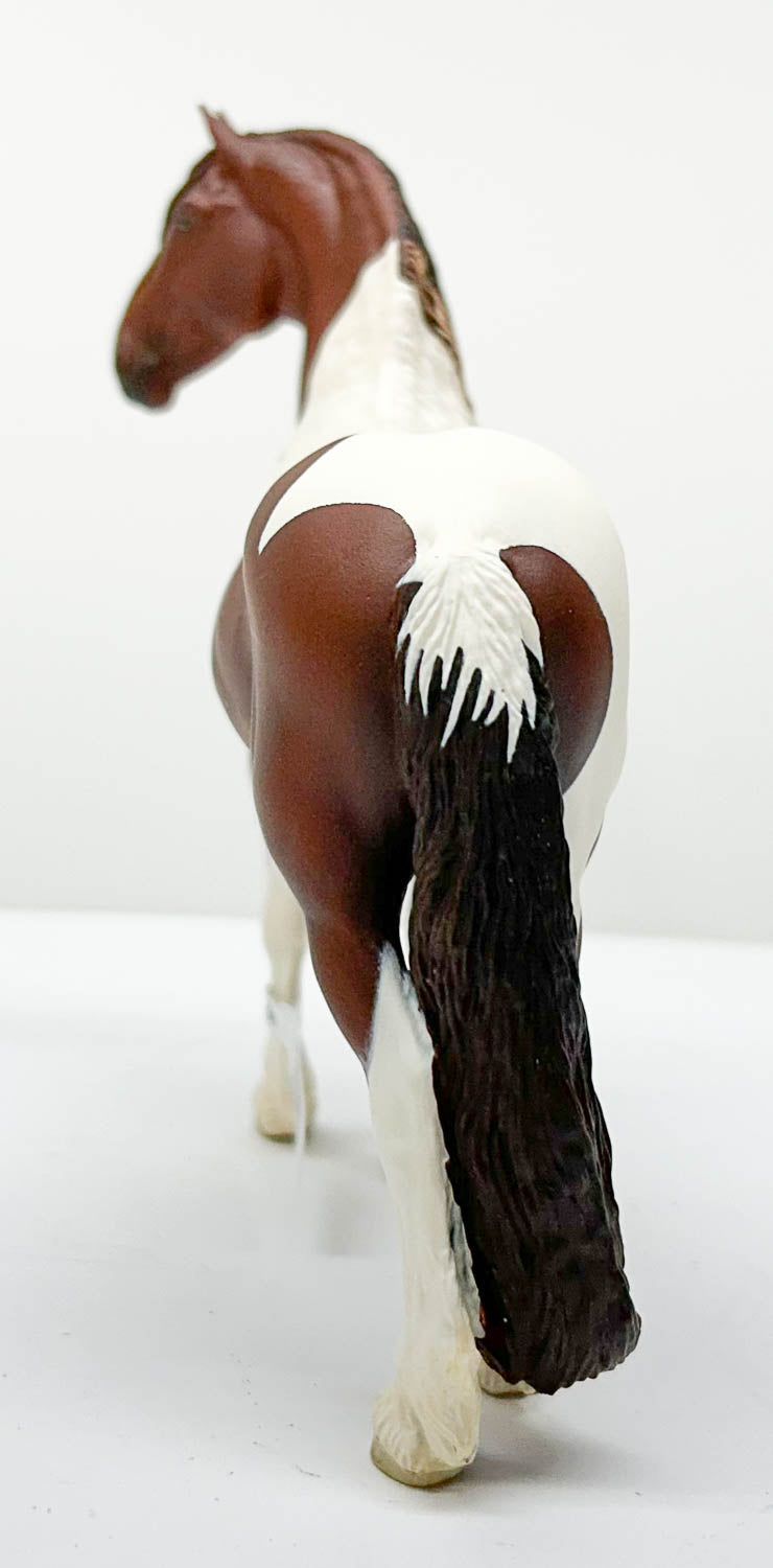 Friesian ~ Niklas, Chestnut Pinto