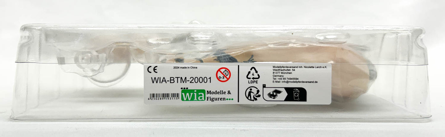 Mustang Mare and Foal ~ Birdie & Boone, Buckskin Roan and Palomino