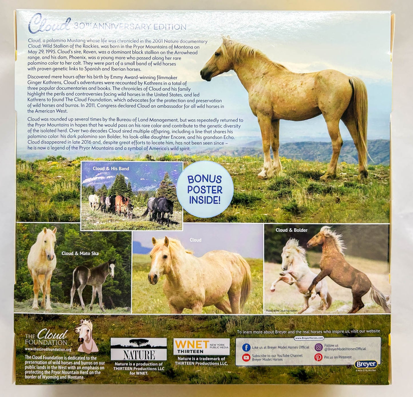 Desatado ~ Cloud - 30th Anniversary Edition