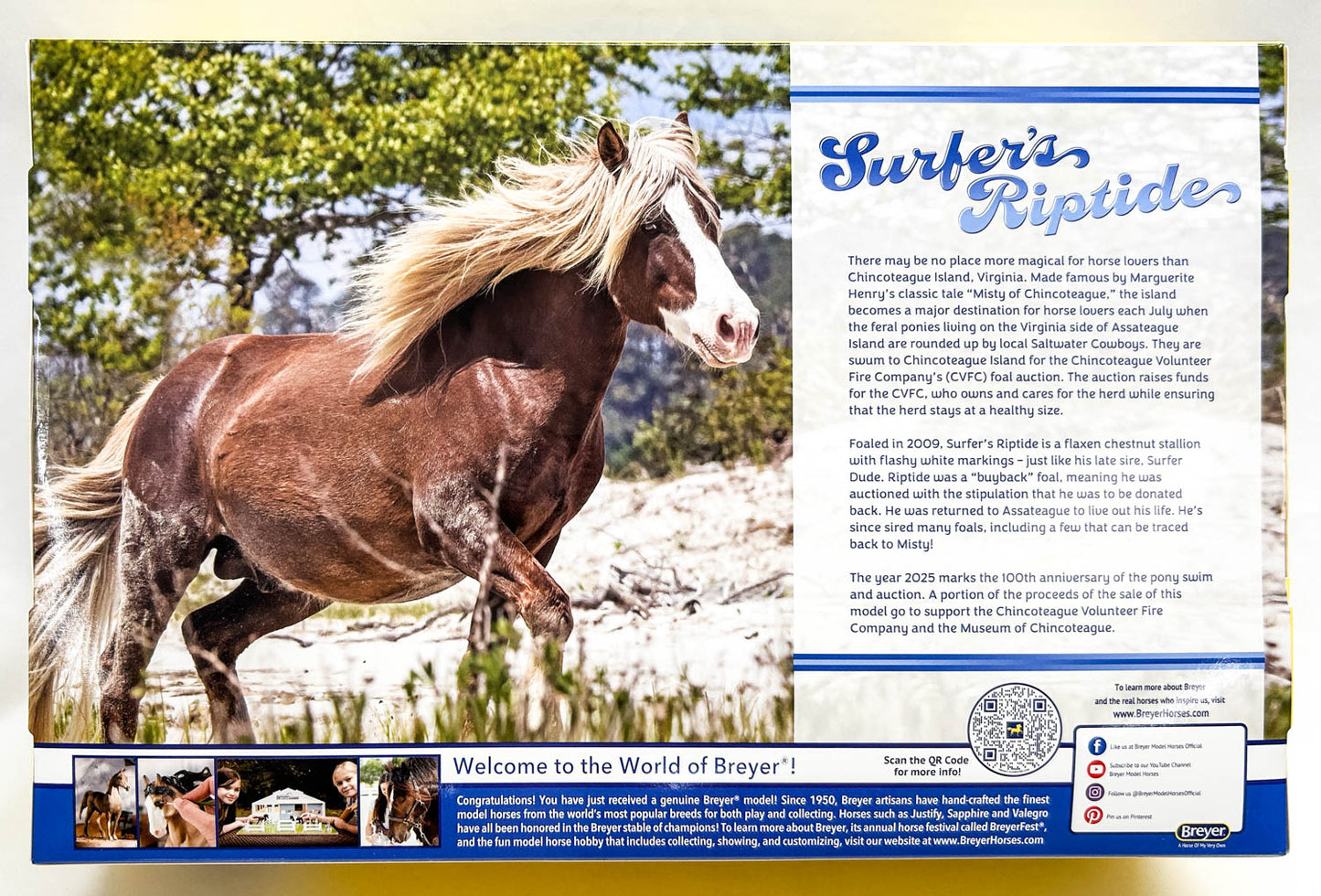 Galloping Welsh Pony ~ Surfer's Riptide