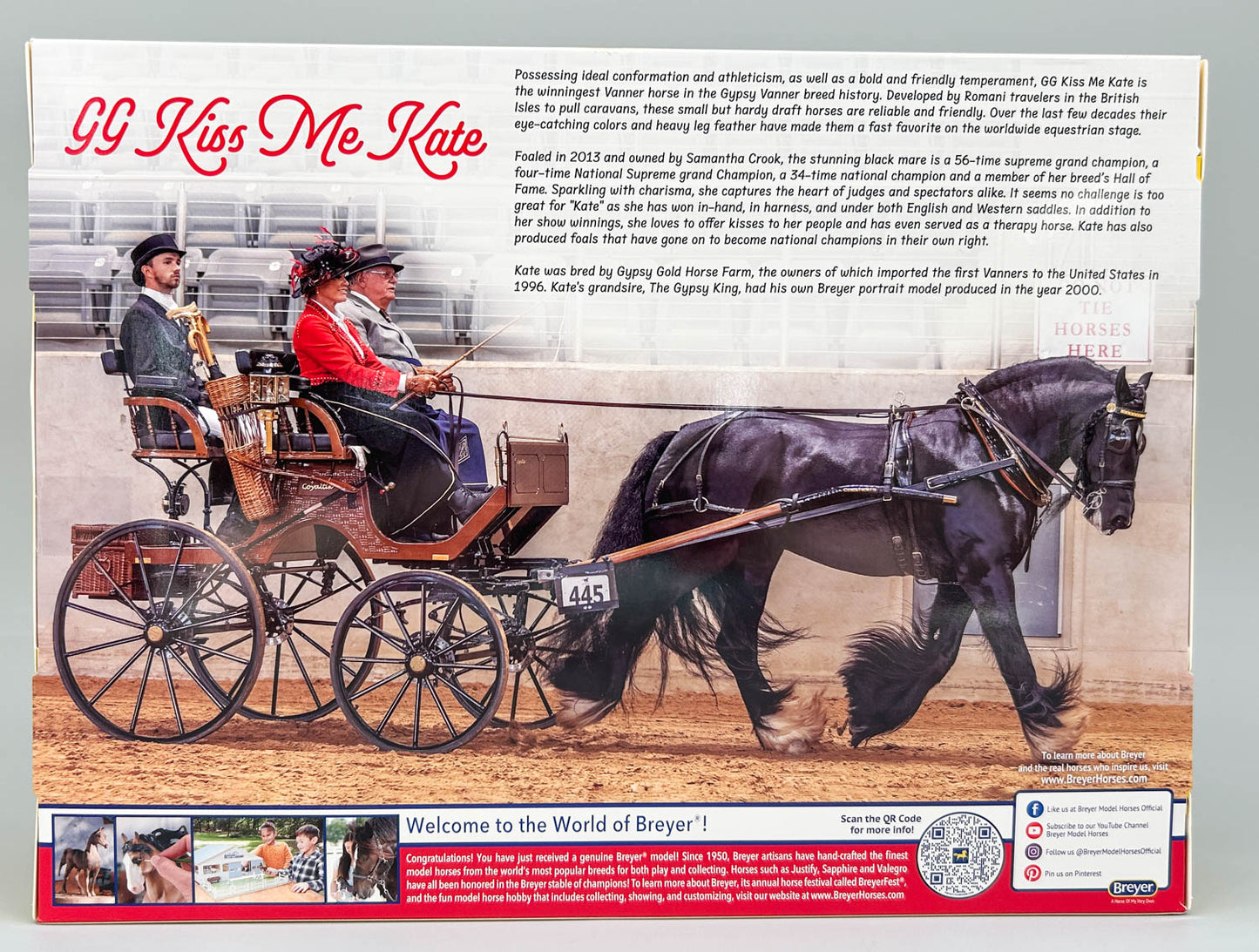 Vanner Mare ~ GG Kiss Me Kate