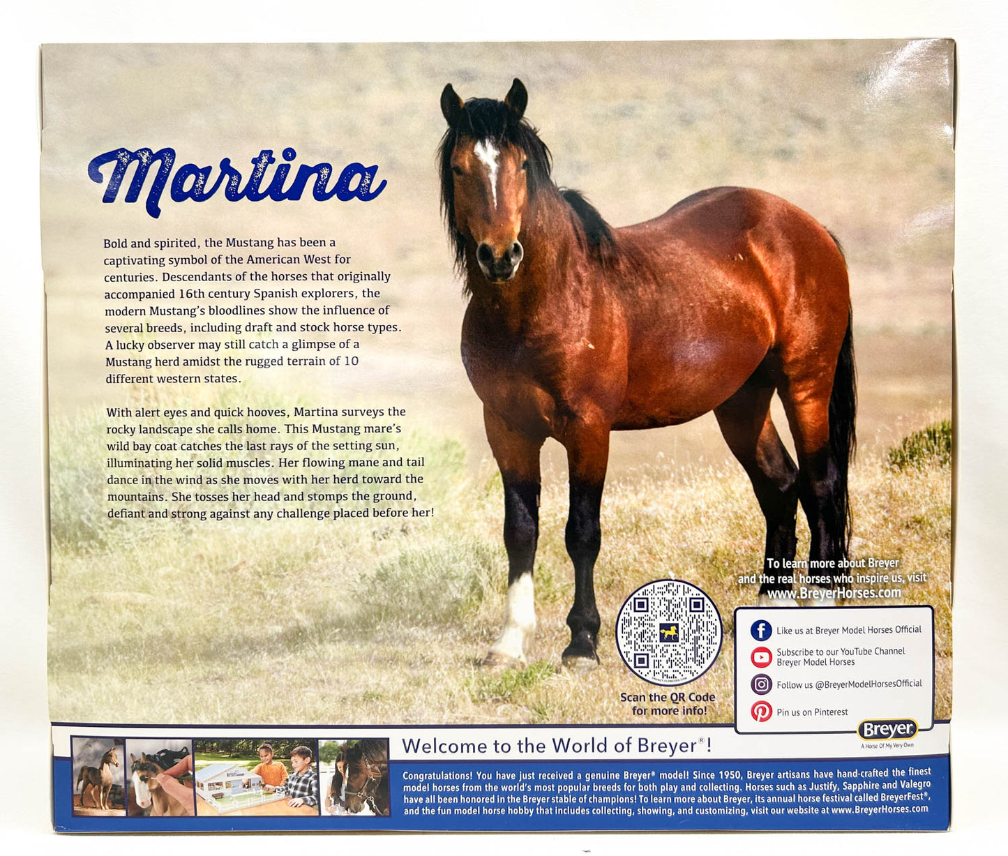 Mustang Mare ~ Martina - TSC SR 2025