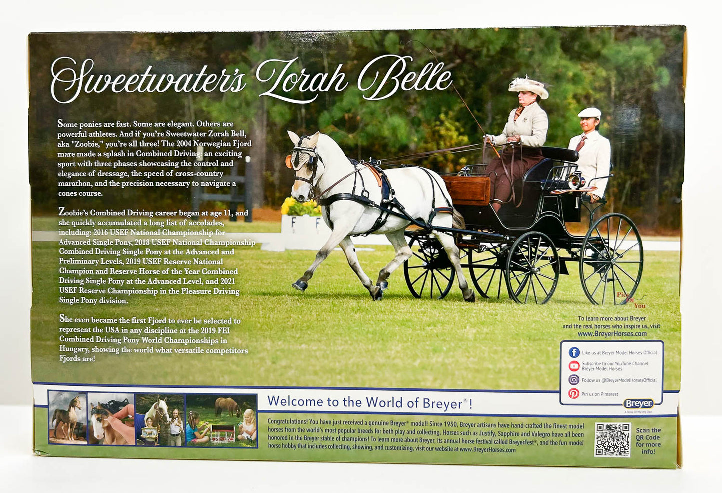 Cantering Fjord ~ Sweetwater's Zorah Belle