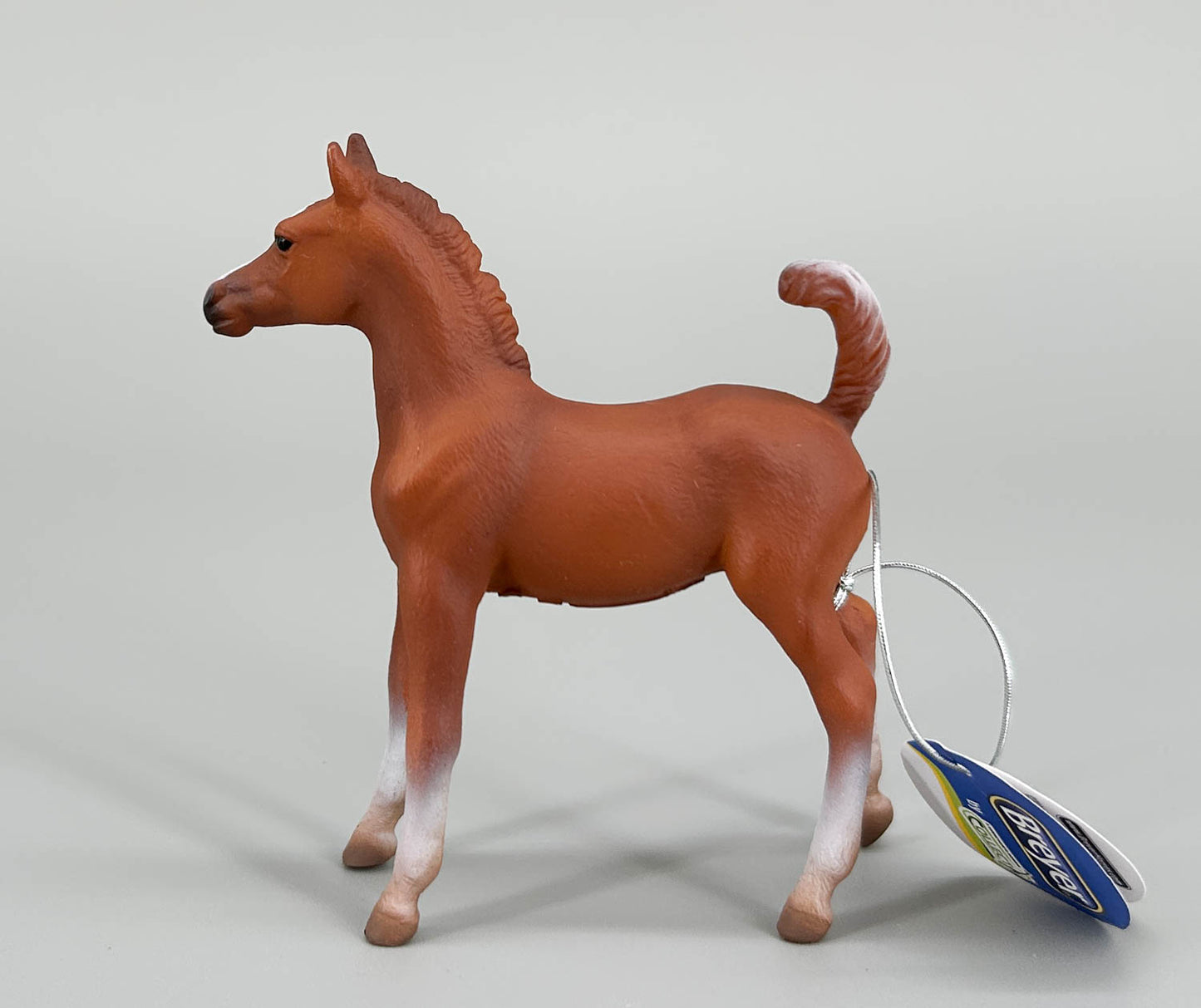 Arabian Foal, Chestnut