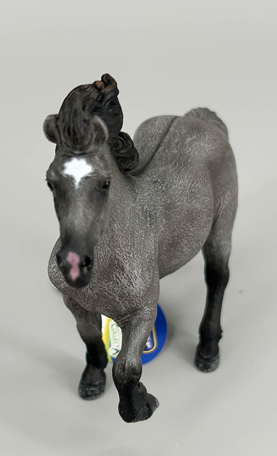 Icelandic Stallion, Grulla