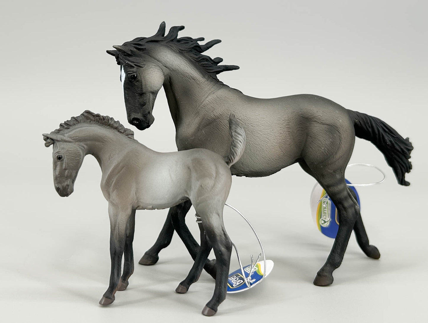 Mustang Mare, Grulla