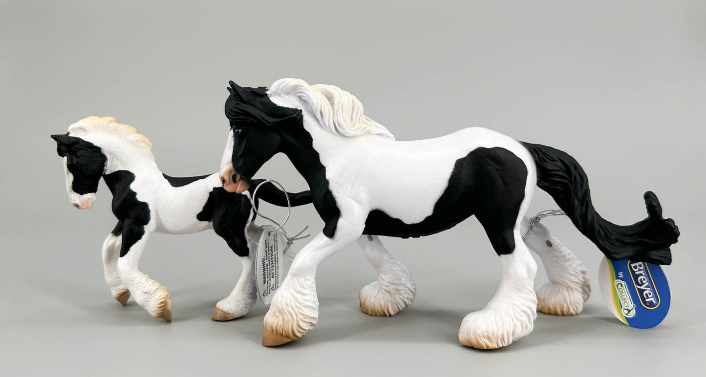 Gypsy Vanner / Tinker Mare