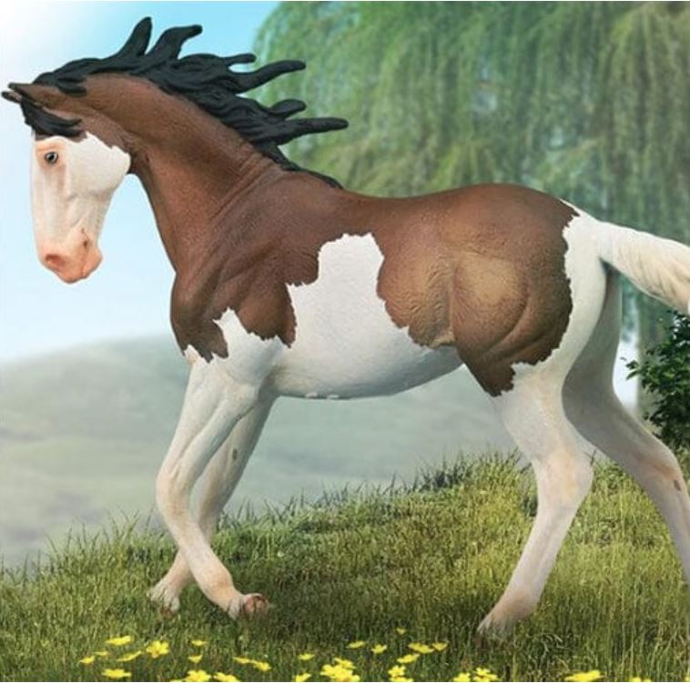 Mustang Mare, Bay Splash Overo Pinto