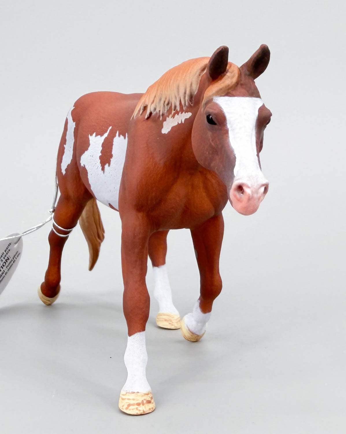 American Paint Horse Stallion, Chestnut Overo Pinto