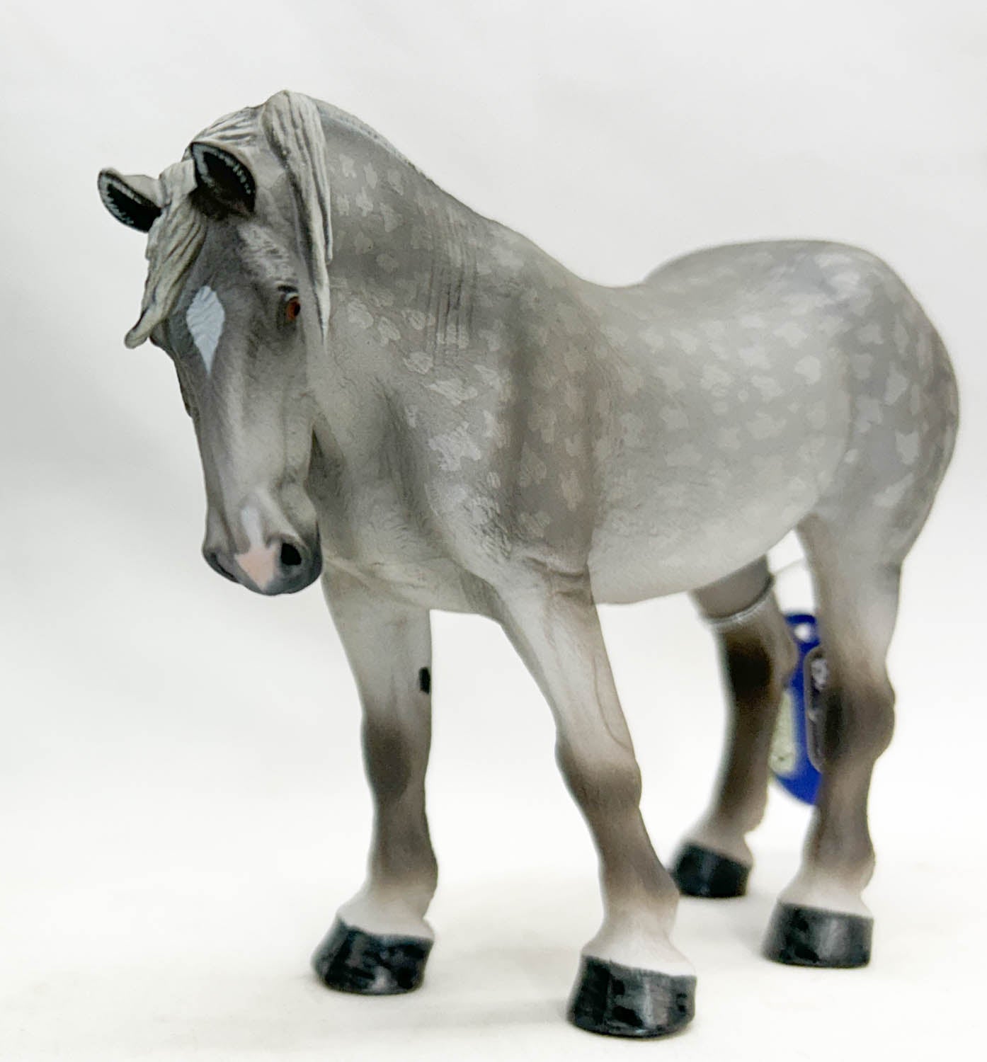 Percheron Mare, Dapple Grey