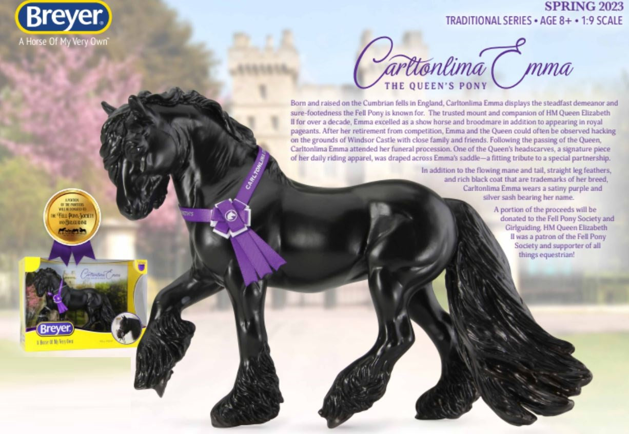 Fell Pony ~ Carltonlima Emma, the Queen's Fell Pony