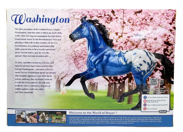Show Jumping Warmblood ~ Washington - 2023 Spring Decorator