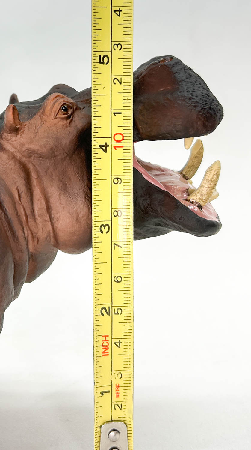 Hippopotamus (Large)