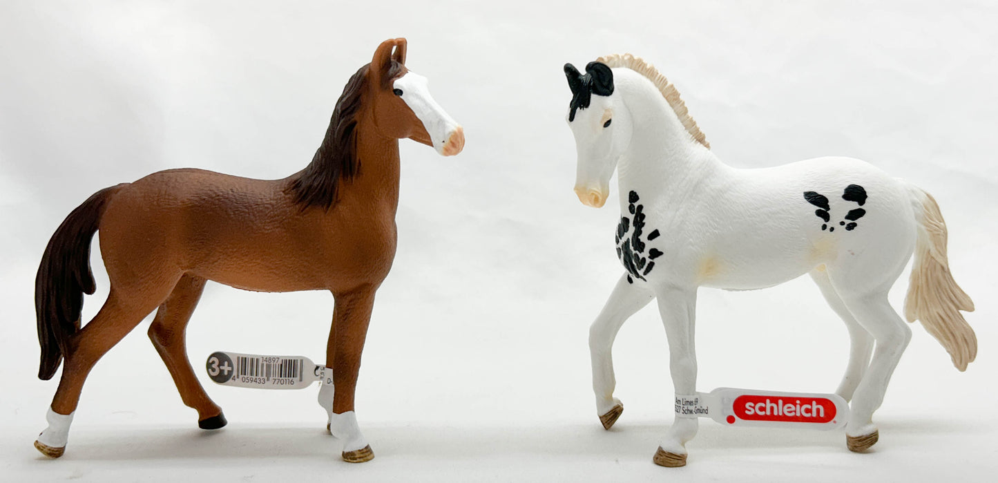 Marwari Stallion, Black Sabino Pinto