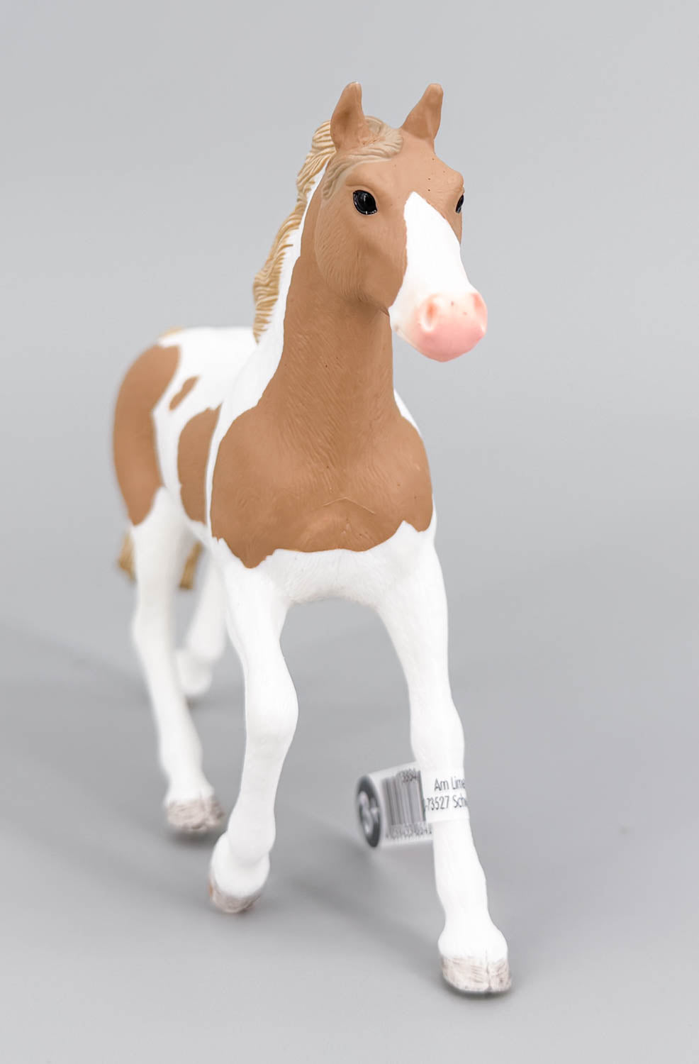 Paint Horse Mare, Chestnut Pinto