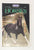 Just About Horses Magazine Vol. 21 No. 3, 1994 Summer 2