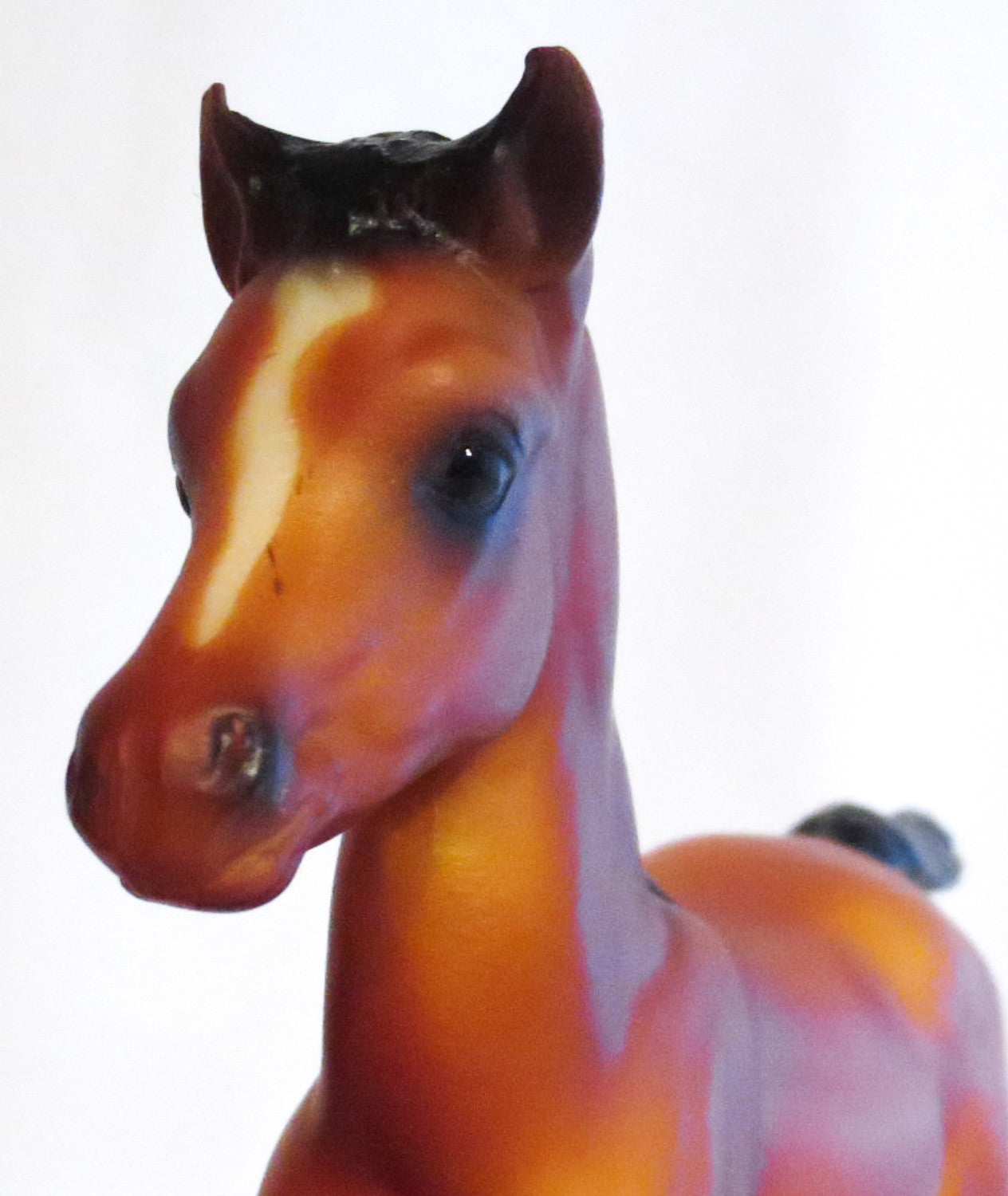 Proud Arabian Foal, Bright Bay - JC Penney SR