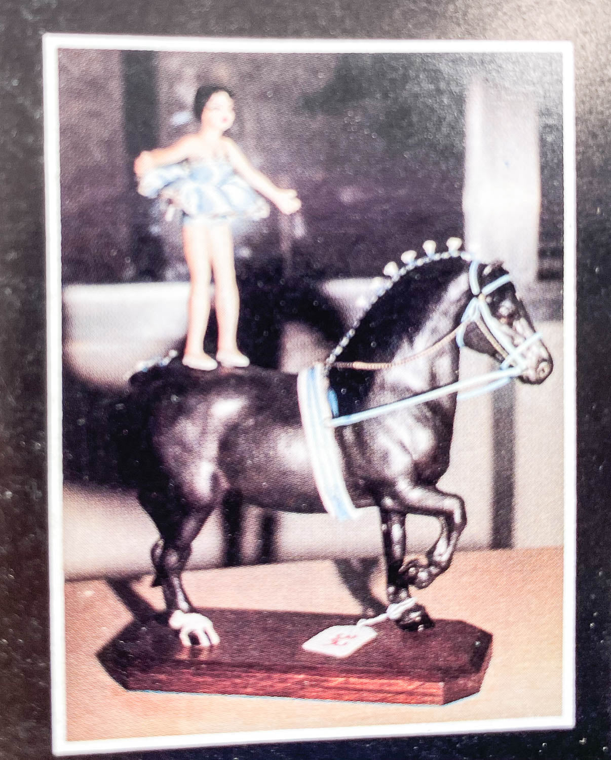 Just About Horses Magazine Vol. 16 No. 3, 1989, July/Aug