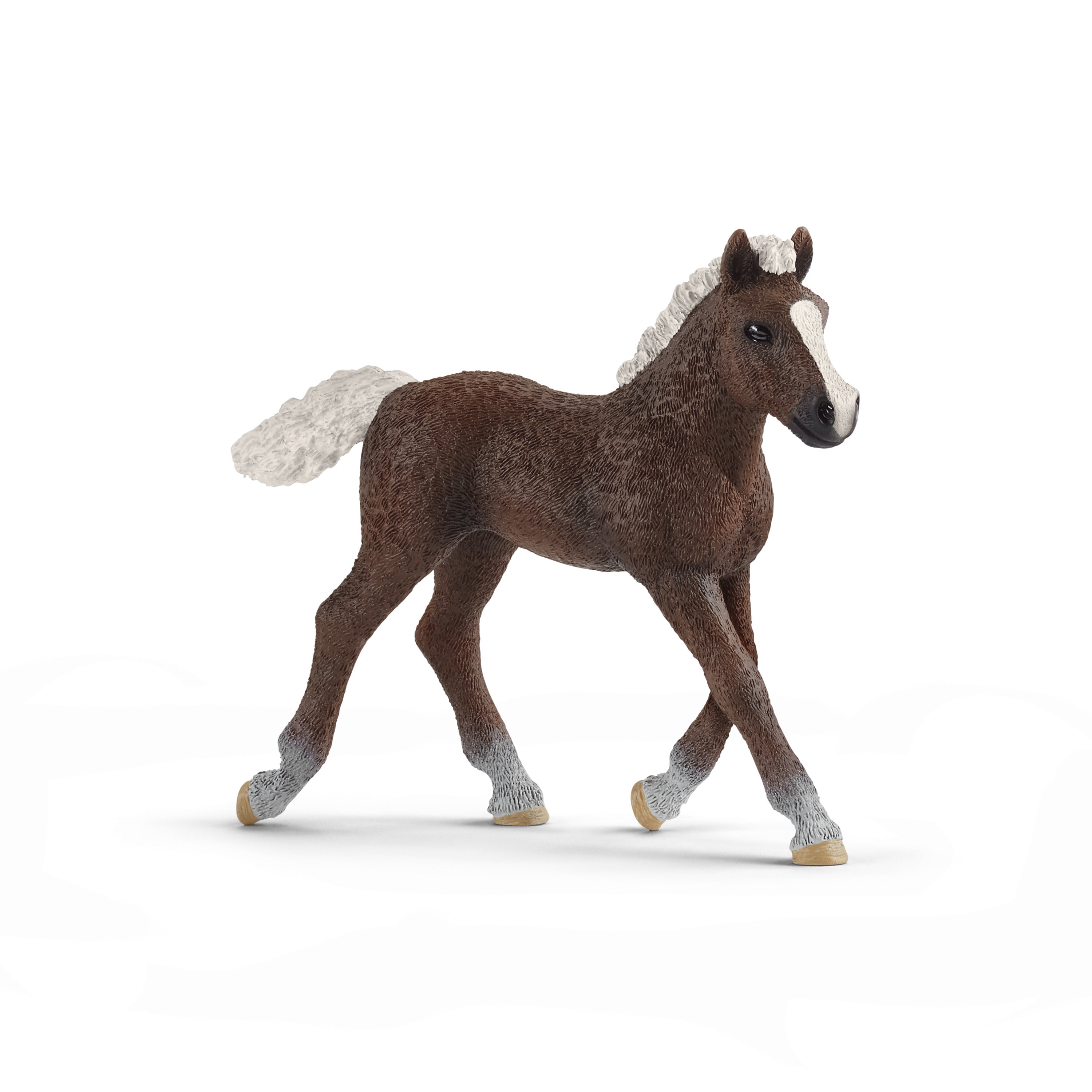 Schleich Black Forest Foal #13899 – Triple Mountain Model Horses