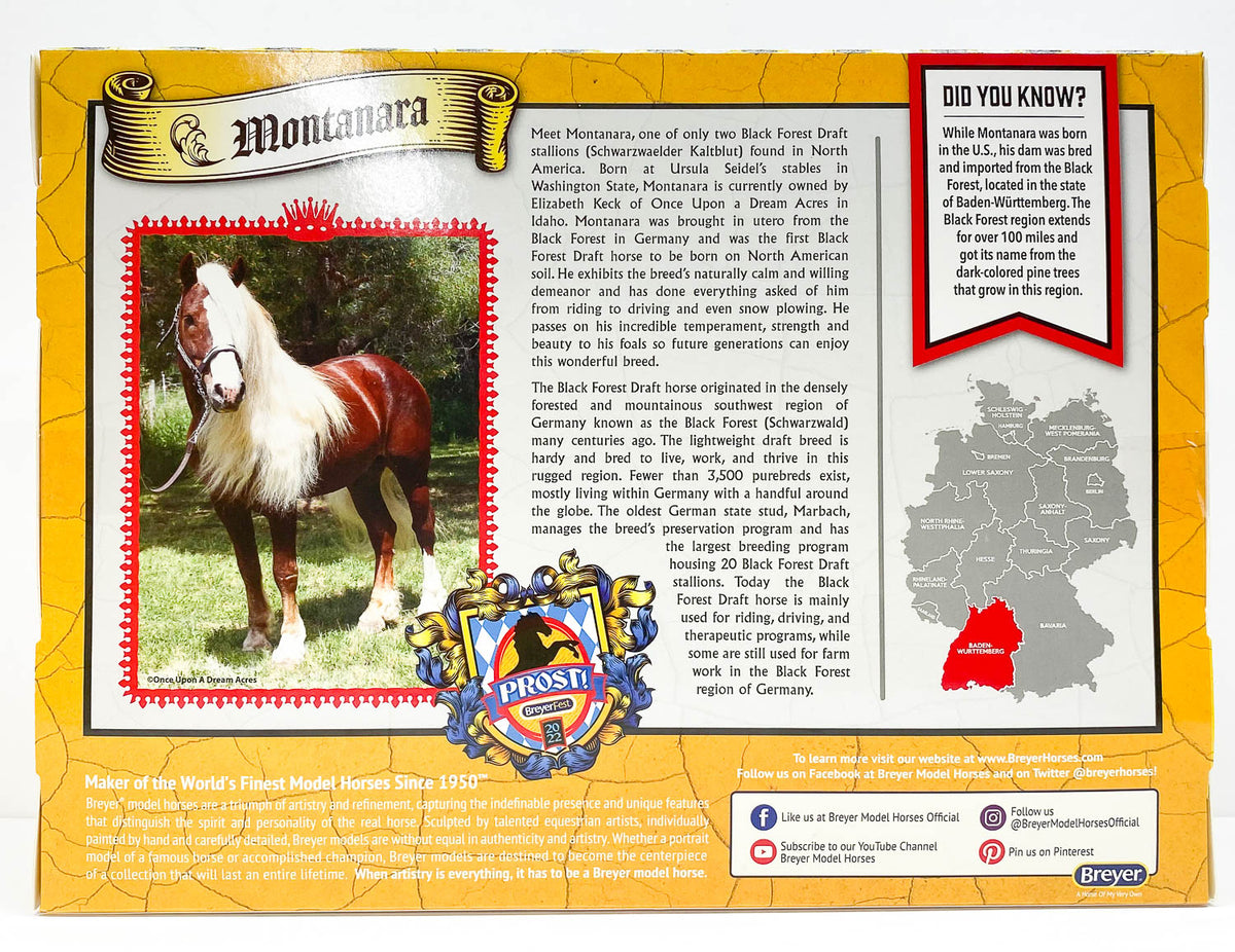 Friesian ~ Montanara - Breyerfest 2022 SR