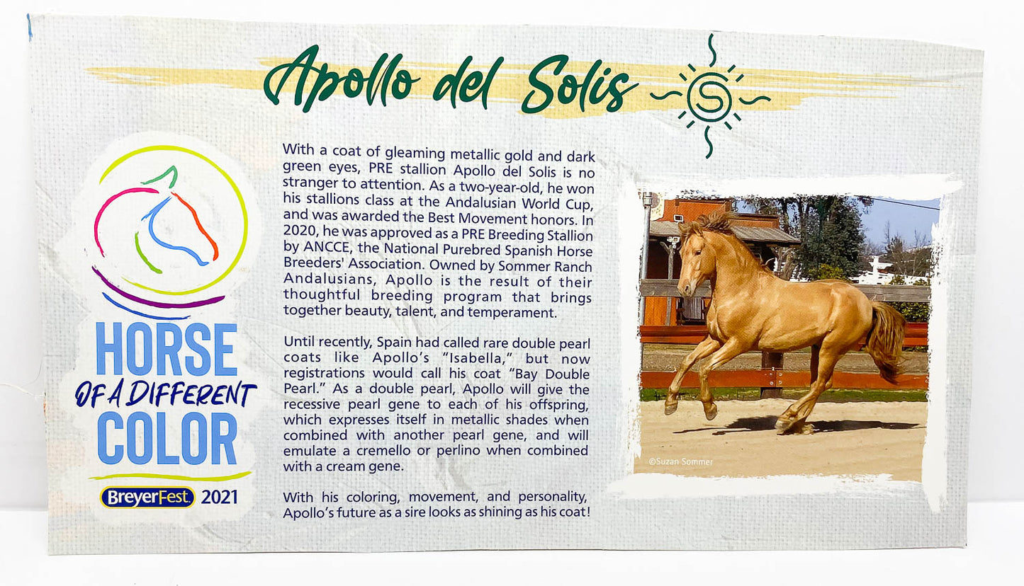 Bio Card:  Apollo del Solis - Breyerfest 2021
