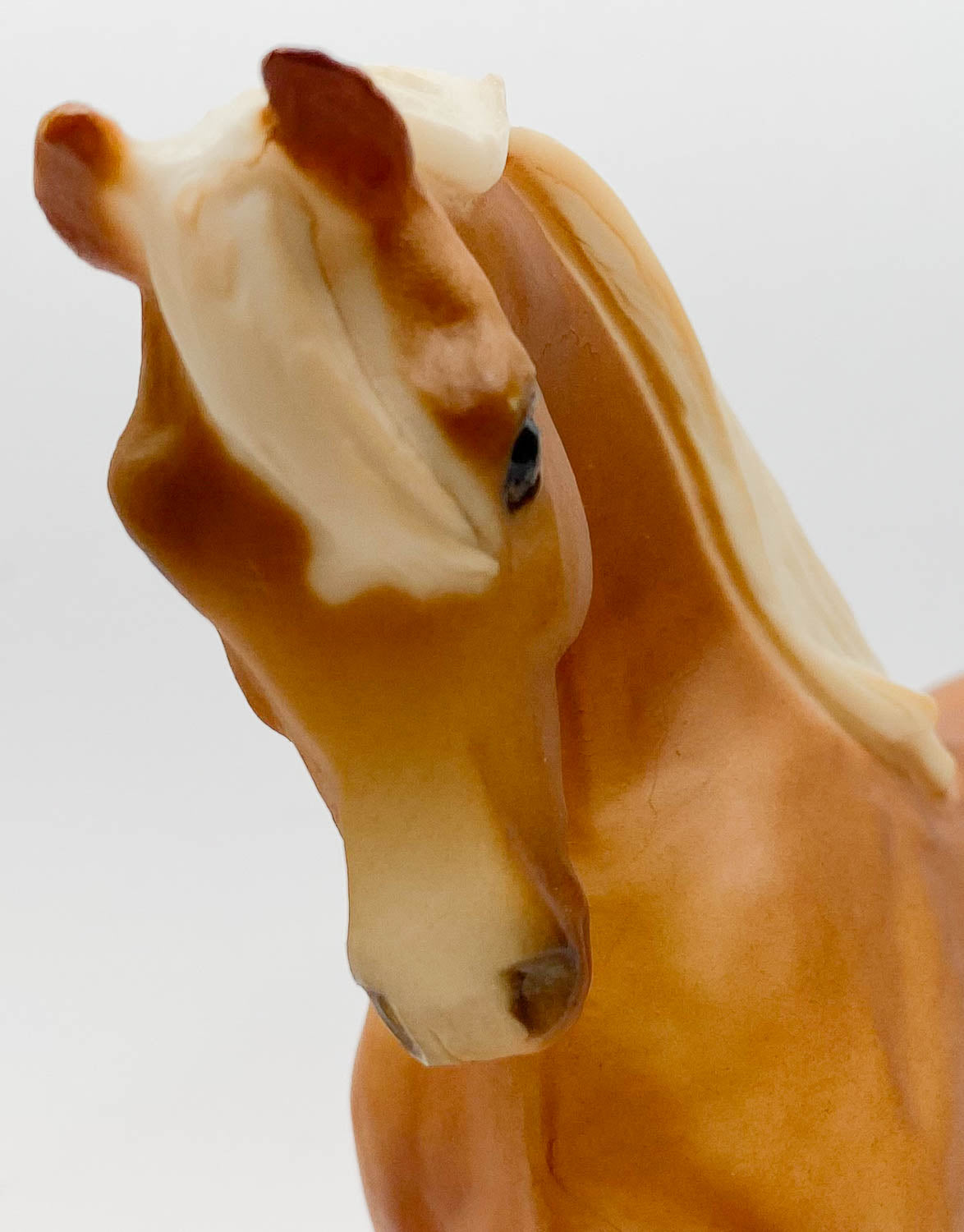 Lady Roxana - Prancing Arabian Mare, Chestnut