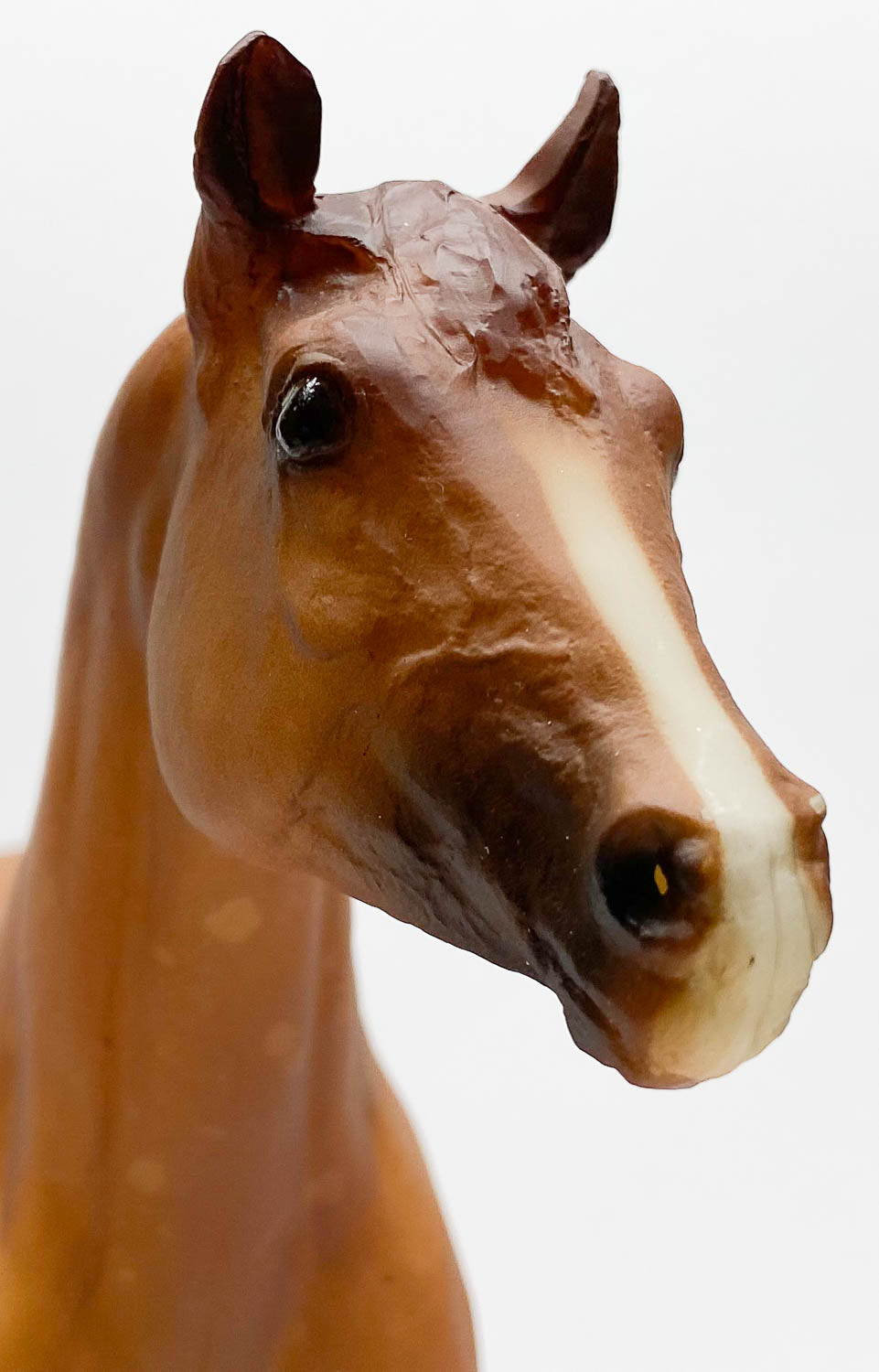 Stock Horse Stallion, Dappled Chestnut - JC Penney SR